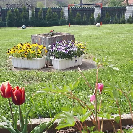 아파트 Dunja Banja 브르드니크