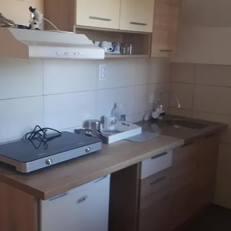 Dunja Banja 브르드니크