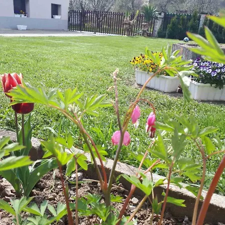 Dunja Banja 아파트 브르드니크