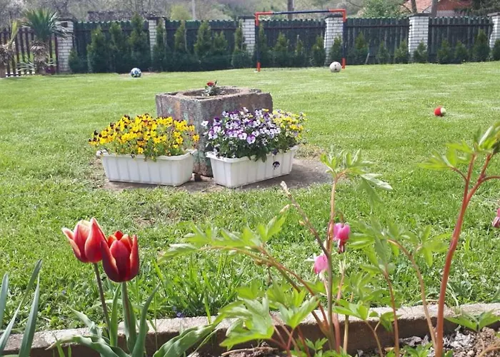 Apartament Dunja Banja Vrdnik