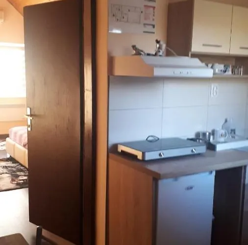 Apartament Dunja Banja *