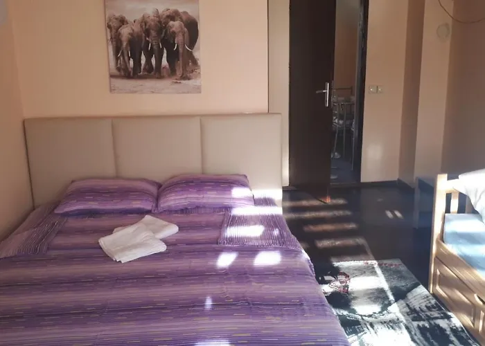 Daire Dunja Banja Vrdnik