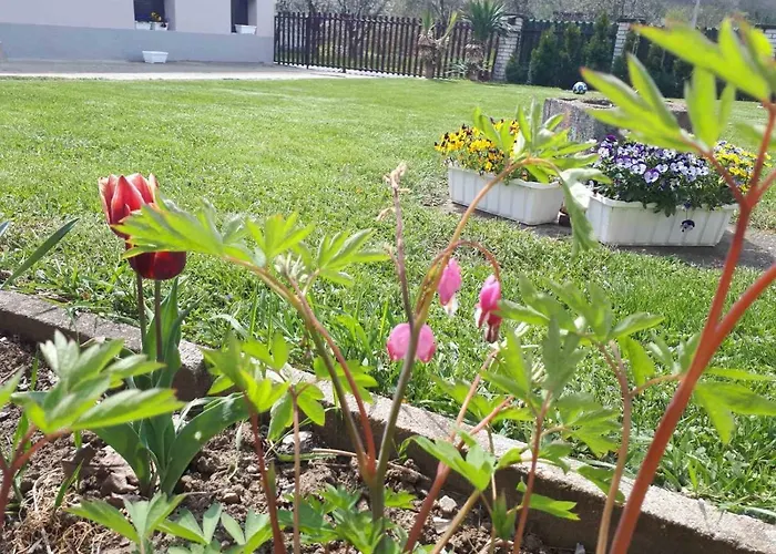 Dunja Banja Apartament Vrdnik