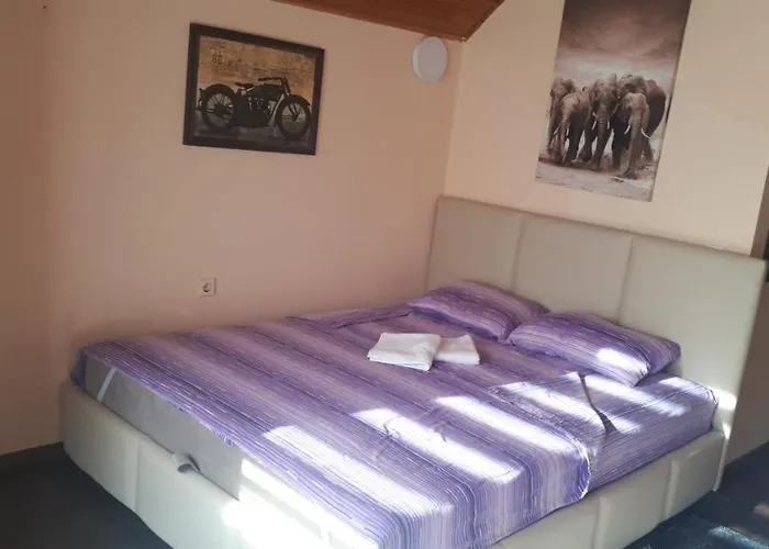 Apartament Dunja Banja *